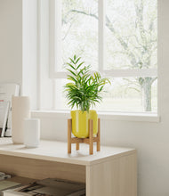 Load image into Gallery viewer, Key Lime Yellow stand:bamboo
