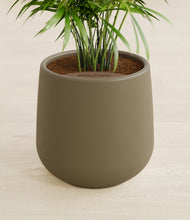 Load image into Gallery viewer, Olive stand:all
