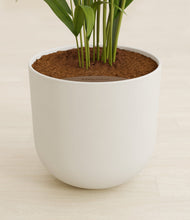 Load image into Gallery viewer, Natural Bamboo stand:all
