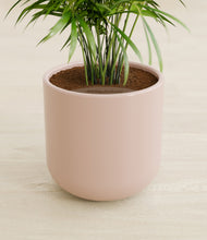 Load image into Gallery viewer, Sandy Pink stand:all
