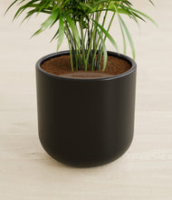Load image into Gallery viewer, Stone Black stand:all
