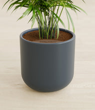 Load image into Gallery viewer, Iron Gray stand:all
