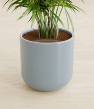 Load image into Gallery viewer, Misty Blue stand:all
