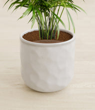 Load image into Gallery viewer, Hammered Ivory stand:all
