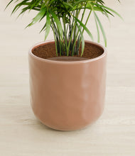 Load image into Gallery viewer, Hammered Peach Pink stand:all
