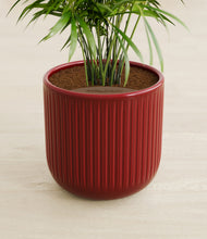 Load image into Gallery viewer, Striped Cherry Red stand:all
