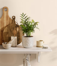 Load image into Gallery viewer, Hammered Ivory
