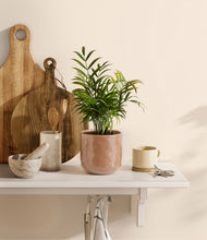 Load image into Gallery viewer, Hammered Peach Pink
