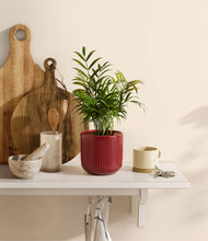 Load image into Gallery viewer, Striped Cherry Red
