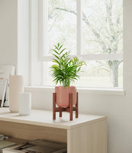 Load image into Gallery viewer, Striped Rose Pink stand:walnut
