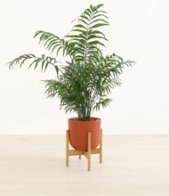 Load image into Gallery viewer, Earth Red stand:light
