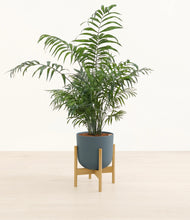 Load image into Gallery viewer, Iron Gray stand:light
