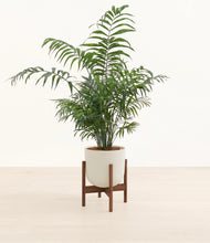 Load image into Gallery viewer, Natural Bamboo stand:dark

