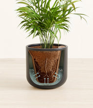 Load image into Gallery viewer, Stone Black stand:all
