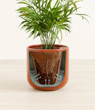 Load image into Gallery viewer, Glossy Red stand:all
