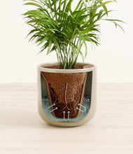 Load image into Gallery viewer, Sage Green stand:all
