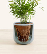 Load image into Gallery viewer, Misty Blue stand:all
