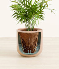 Load image into Gallery viewer, Glossy Pink stand:all
