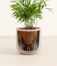 Load image into Gallery viewer, Sandy Pink stand:all
