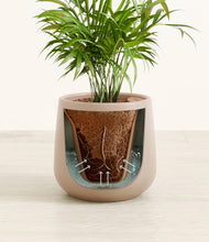 Load image into Gallery viewer, Eternal Gray stand:all
