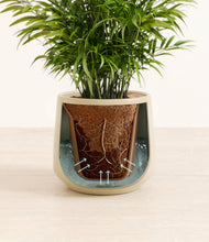 Load image into Gallery viewer, Almond Green stand:all
