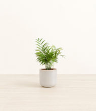 Load image into Gallery viewer, Snowdrift White*****Profile
