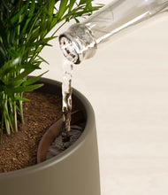 Load image into Gallery viewer, Olive stand:all
