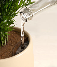 Load image into Gallery viewer, Almond Green stand:all
