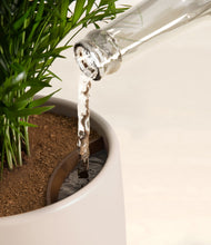 Load image into Gallery viewer, Eternal Gray stand:all
