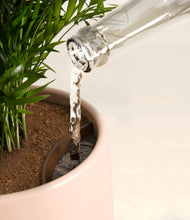 Load image into Gallery viewer, Gentle Pink stand:all
