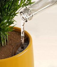 Load image into Gallery viewer, Mustard stand:all
