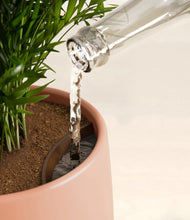 Load image into Gallery viewer, Calm Rose stand:all
