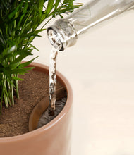 Load image into Gallery viewer, Hammered Peach Pink stand:all
