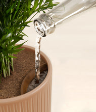 Load image into Gallery viewer, Striped Peach Pink stand:all
