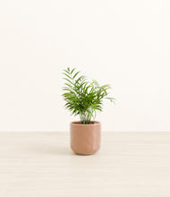 Load image into Gallery viewer, Hammered Peach Pink*****Profile
