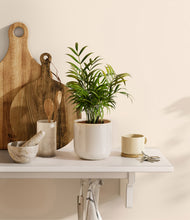 Load image into Gallery viewer, Snowdrift White
