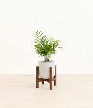 Load image into Gallery viewer, Hammered Ivory stand:walnut
