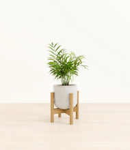 Load image into Gallery viewer, Hammered Ivory stand:bamboo
