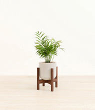 Load image into Gallery viewer, Snowdrift White stand:walnut
