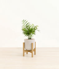 Load image into Gallery viewer, Snowdrift White stand:bamboo
