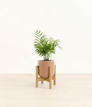 Load image into Gallery viewer, Hammered Peach Pink stand:bamboo
