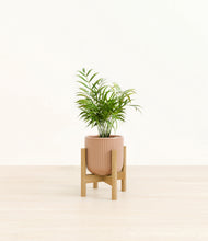 Load image into Gallery viewer, Striped Peach Pink stand:bamboo
