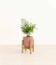 Load image into Gallery viewer, Striped Rose Pink stand:bamboo
