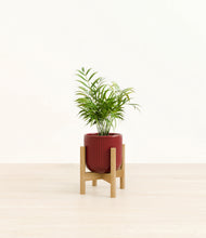 Load image into Gallery viewer, Striped Cherry Red stand:bamboo
