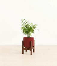 Load image into Gallery viewer, Striped Cherry Red stand:walnut
