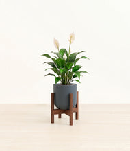 Load image into Gallery viewer, Iron Gray stand:dark
