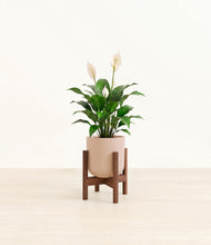 Load image into Gallery viewer, Sandy Pink stand:dark
