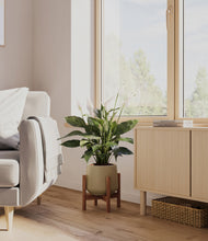 Load image into Gallery viewer, Olive stand:walnut
