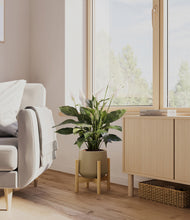 Load image into Gallery viewer, Olive stand:bamboo
