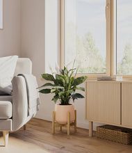 Load image into Gallery viewer, Gentle Pink stand:bamboo
